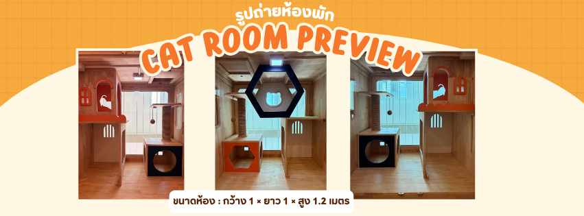 ห้องพัก Cat Room Preview